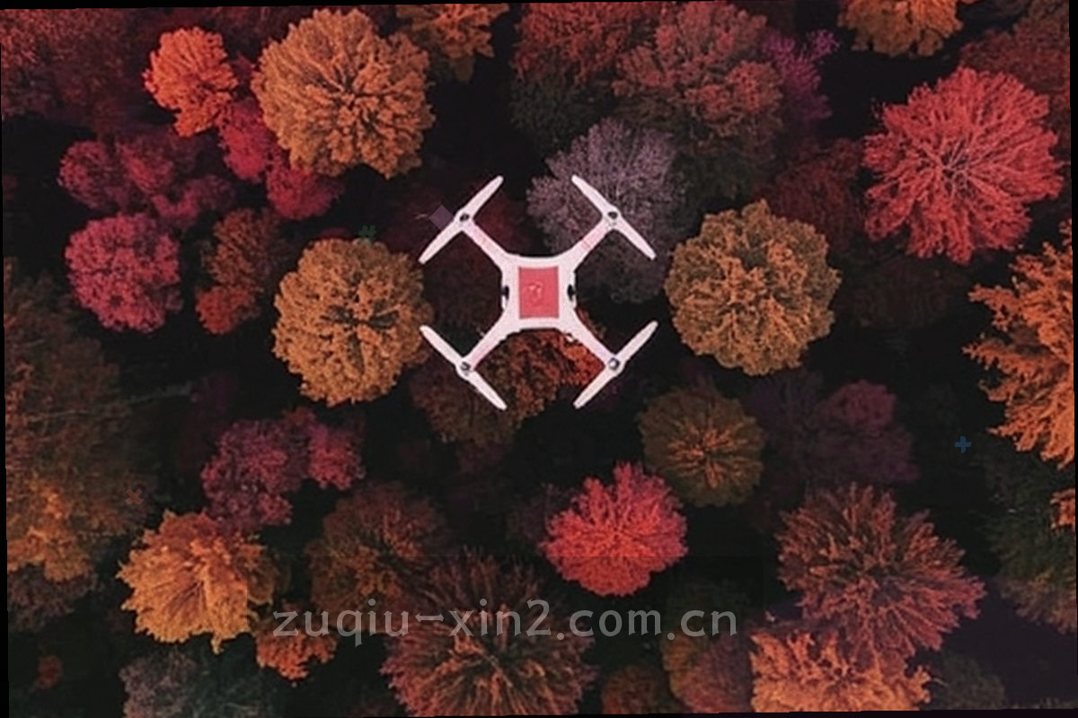 围栏上挂着的球迷围巾与旗角，逆光下颜色偏暗
